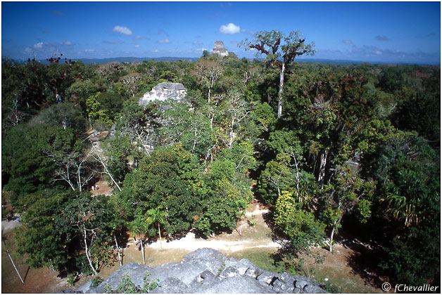 TIKAL - GUATEMALA