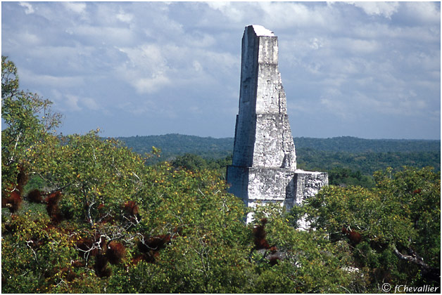 Le plus haut temple du site 69 m - TIKAL