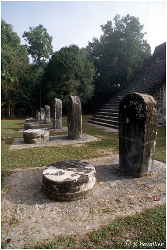 Stèles mayas à Tikal