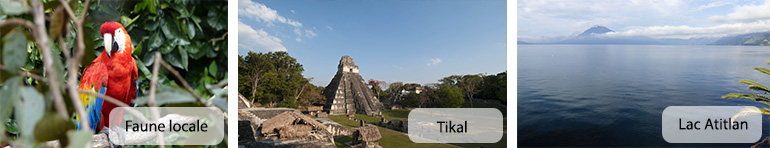 AGENCES DE VOYAGES - GUATEMALA