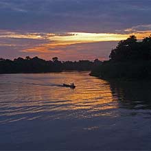 AMAZONIE