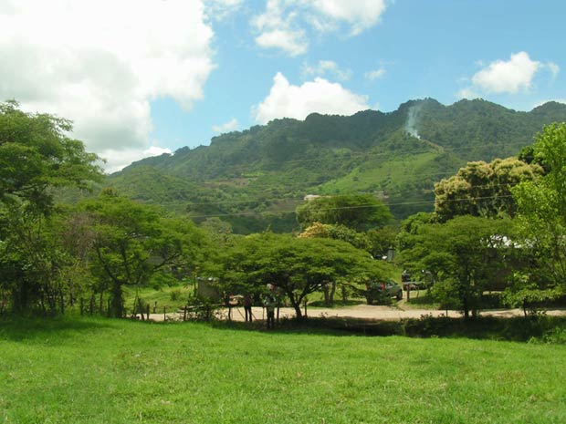 JINOTEGA