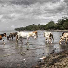 OMETEPE