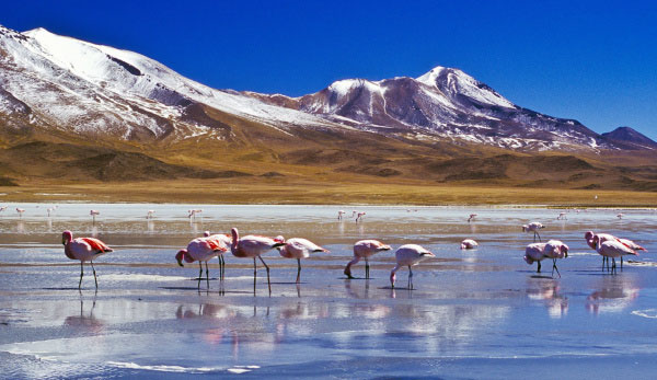 TOURISME & VOYAGE EN BOLIVIE