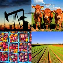L'ECONOMIE EN EQUATEUR