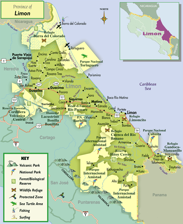 CARTE de LIMON