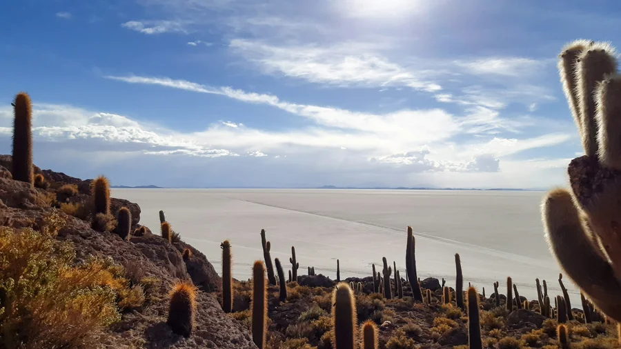 Salar de Uyuni, Bolivie